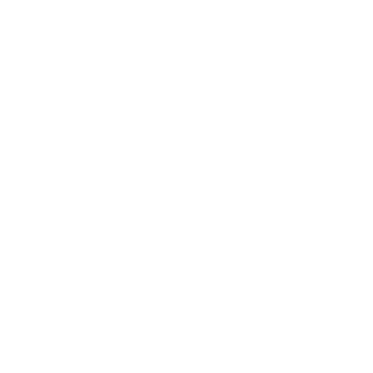 Martial Arts Bujinkan Ninja Kids Class