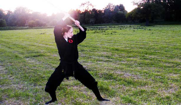 Martial Arts Assistant Instructor